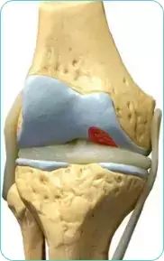 Settimana 3 – Flessibilità aumentata